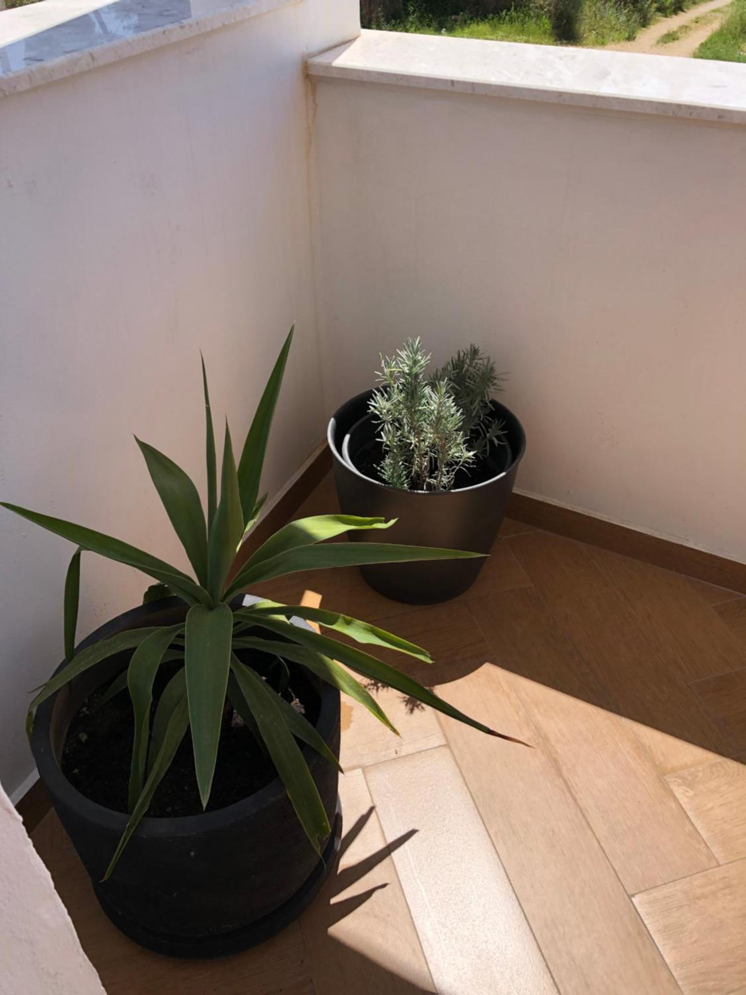 Apartments Lungo Mare Улцинь Екстер'єр фото